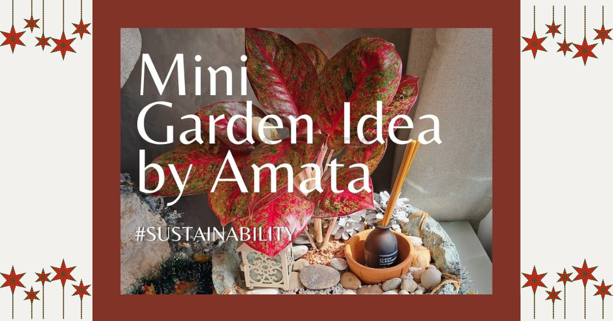 ไอเดียจัดสวนถาดทรงชามกลมแบบง่ายๆ